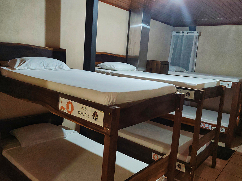 Bed in 6-Bed Mixed Dormitory