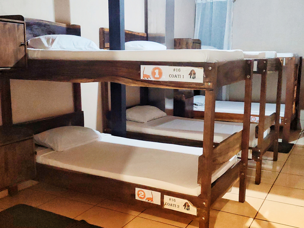 Bed in 6-Bed Mixed Dormitory